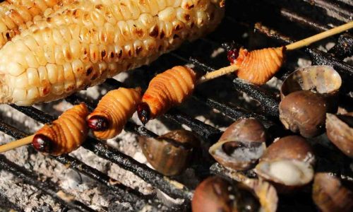 laguna-azul-tena-ecuador-chontacuros