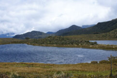 Llanganates: misteriosa unión de Sierra y Amazonía